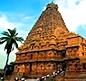 Contact Us - Alliance Chennai Office: Seamless Solutions and Support
